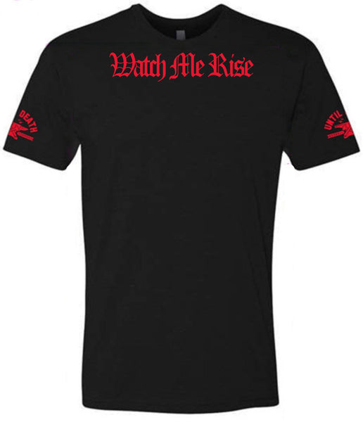 Comp T's V2